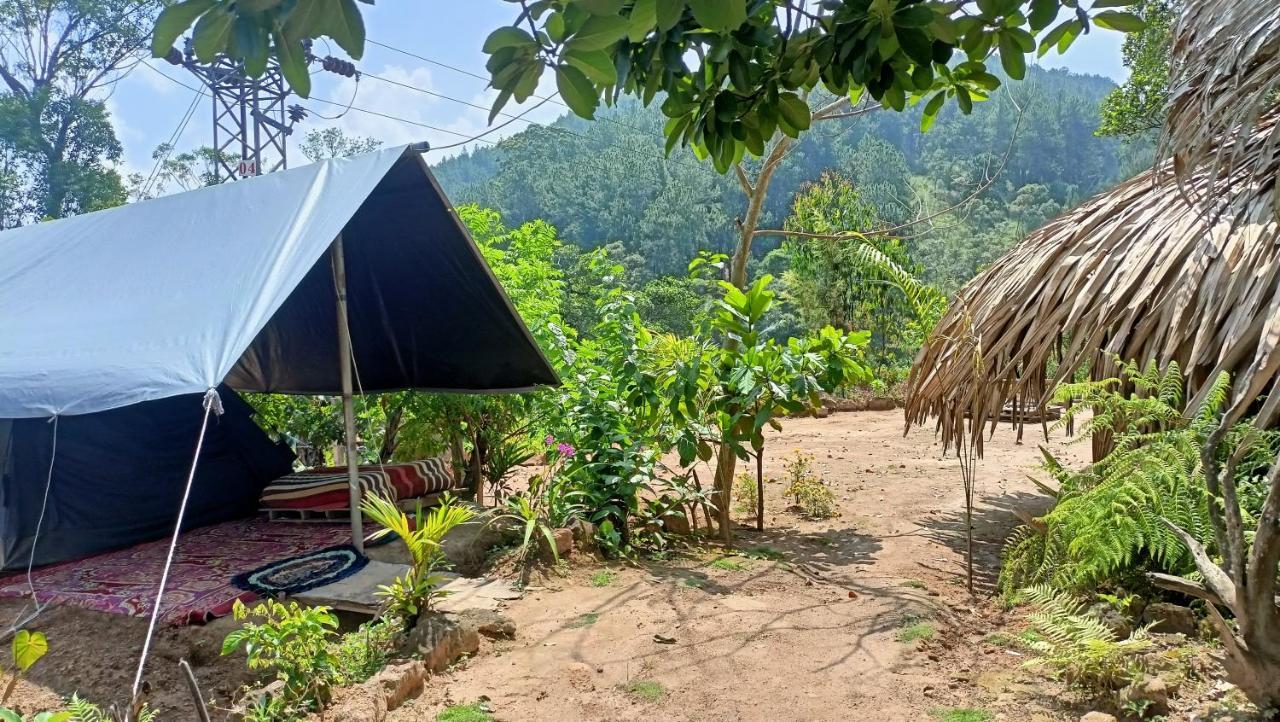 ホテル Freedom Camp エッラ エクステリア 写真
