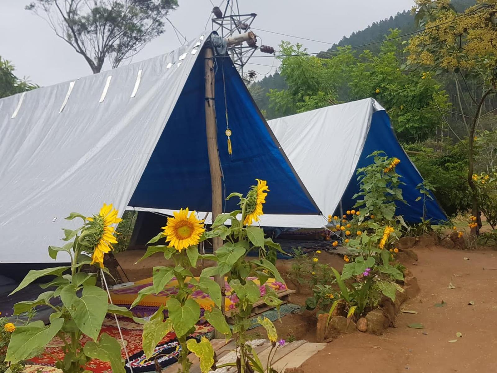 ホテル Freedom Camp エッラ 部屋 写真