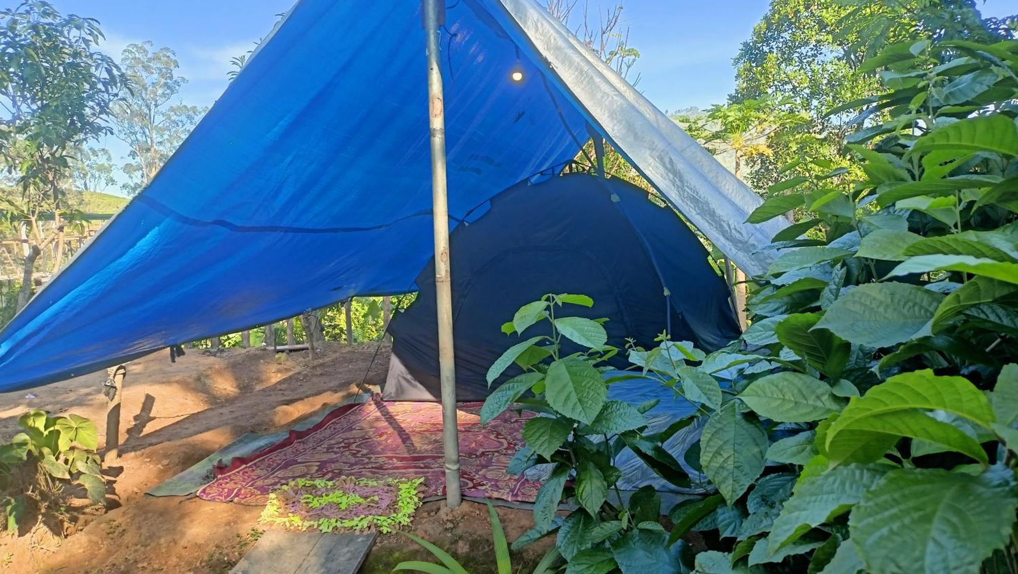 ホテル Freedom Camp エッラ エクステリア 写真